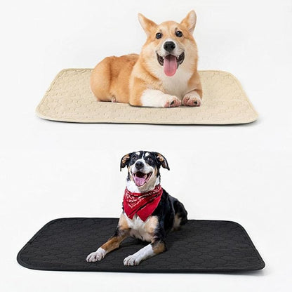 Dog Pee Training Mat