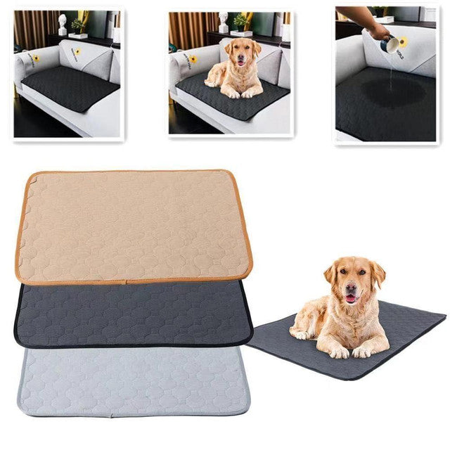 Dog Pee Training Mat